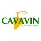 Cavavin Tours